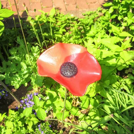 Kleine Haus - Reetdachhaus Petersen Hébergement de vacances